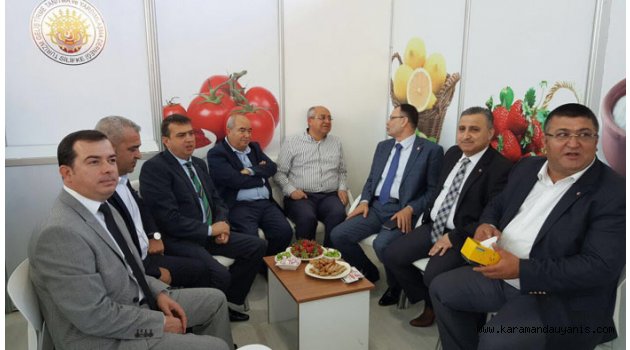 TOKTAY, TARIM GÜNLERİNE KATILDI