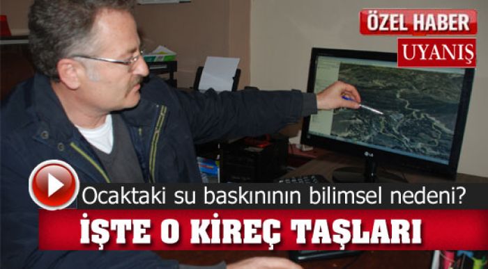 Torosların  Miyosen Taşları