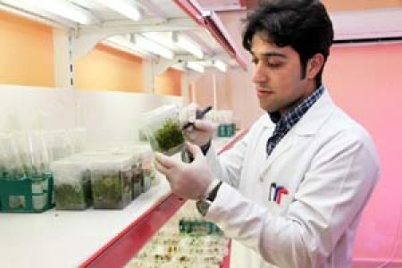 Tübitak'dan 100 Bin Tl Hibe