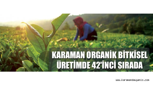 TÜİK VERİLERİNE GÖRE..