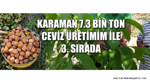 TÜK ARAŞTIRMALARI