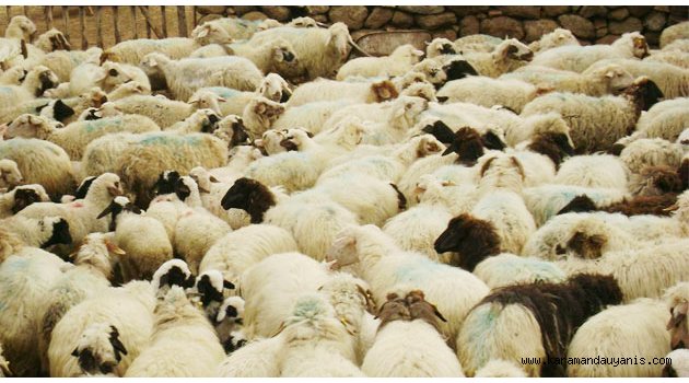 ÜKÜ OCAKLARI, "KURBAN DERİLERİNİ BAĞIŞLAYIN"