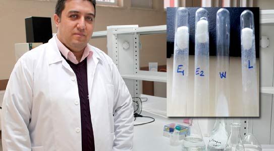 Üniversite'den Bilimsel Araştırmalar