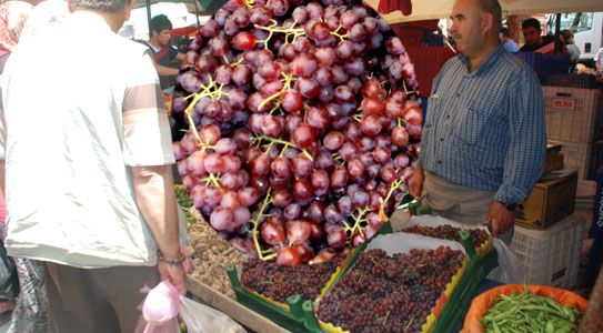 Üzüm Zam Şampiyonu