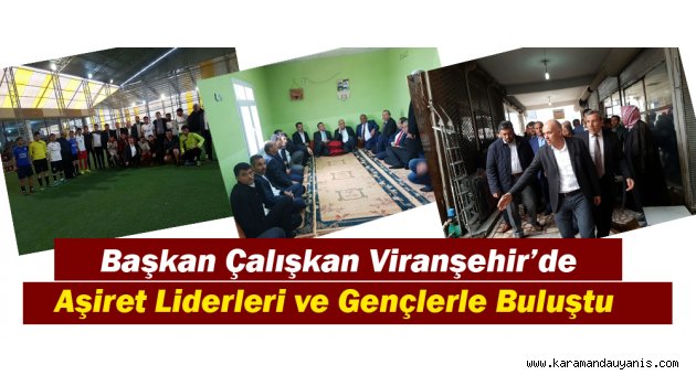 VİRANŞEHİR TEMASLARI