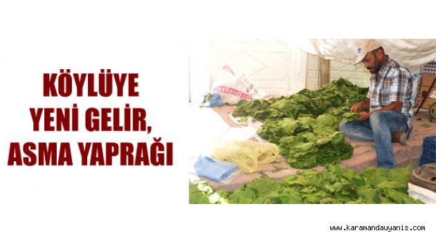 YAPRAK ZAMANI..