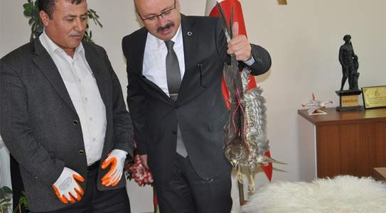 Yaralı Şahine Başkan Sahip Çıktı