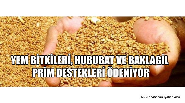 YEM BİTKİLERİ, HUBUBAT VE BAKLAGİL PRİM DESTEKLERİ ÖDENİYOR