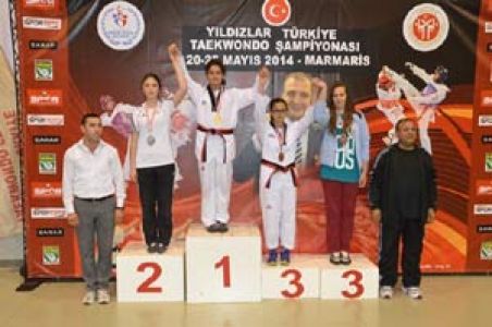 Yıldızlar Türkiye Taekwondo Şampiyonası