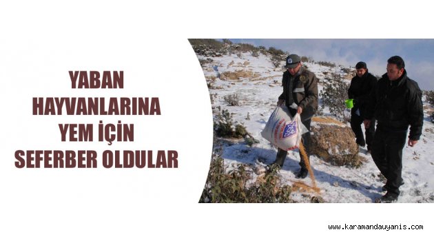 YİYECEK TAKVİYESİ..