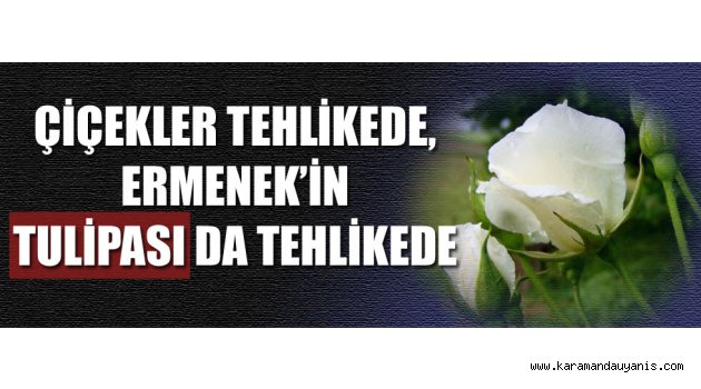 Yok olma tehlikesiyle karşı karşıya olan..