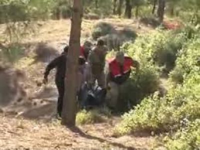 Yol Kenarında Kadın Cesedi Bulundu