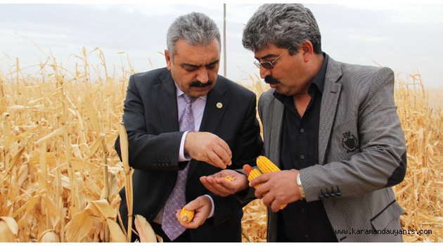 ZİRAAT ODASI'NDAN ‘TOHUM’ UYARISI