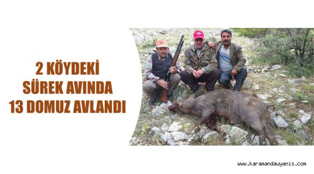 ZİRAİ ÜRETİME ZARAR VERİYORLAR
