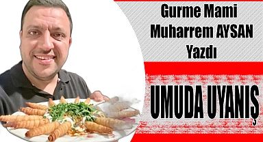 UMUDA UYANIŞ