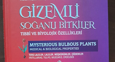 DOĞADAN GELEN SICAK ANILAR