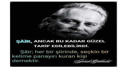 ŞİİRİN TÂRİFİNİ SORANLARA...