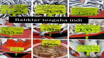 Balıklar Tezgâha İndi