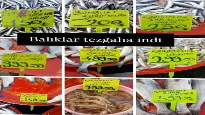 Balıklar Tezgâha İndi