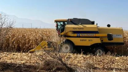 Karaman'da Dane Mısır Biçim Ücreti Belli Oldu