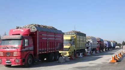 Konya Şeker'den Üreticisine 544 Milyonluk Çifte Avans