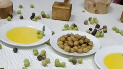 Küçük Ellerle Zeytin Kırıp Kudüs’ü Hatırladılar