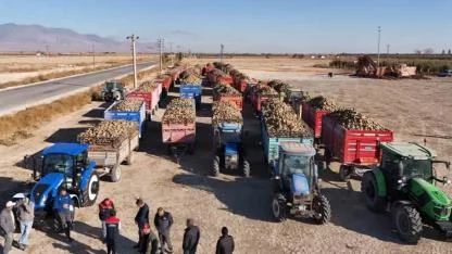 Pancar Kantarlarında Günlük Kota Krizi! Mevcut Alım Kotası Öğle Saati Olmadan Doluyor