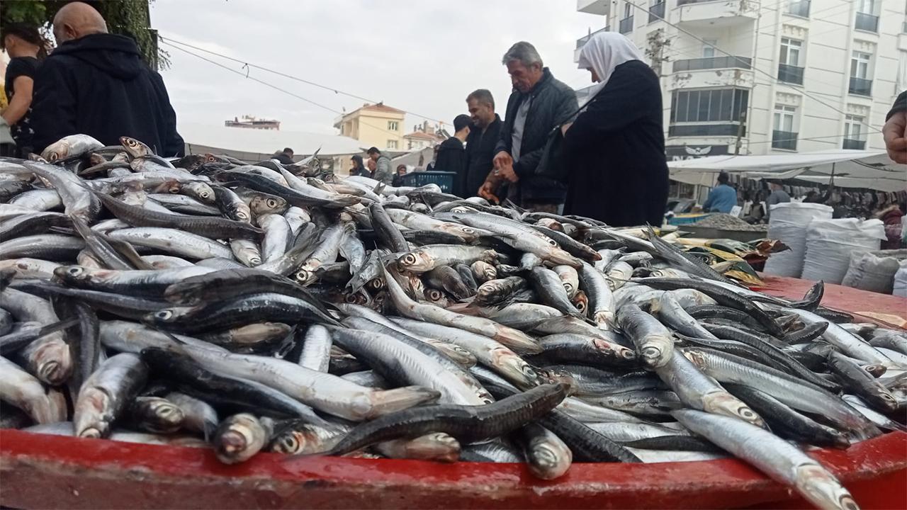 Balıkta Tercih: Hamsi