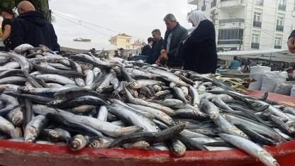 Balıkta Tercih: Hamsi