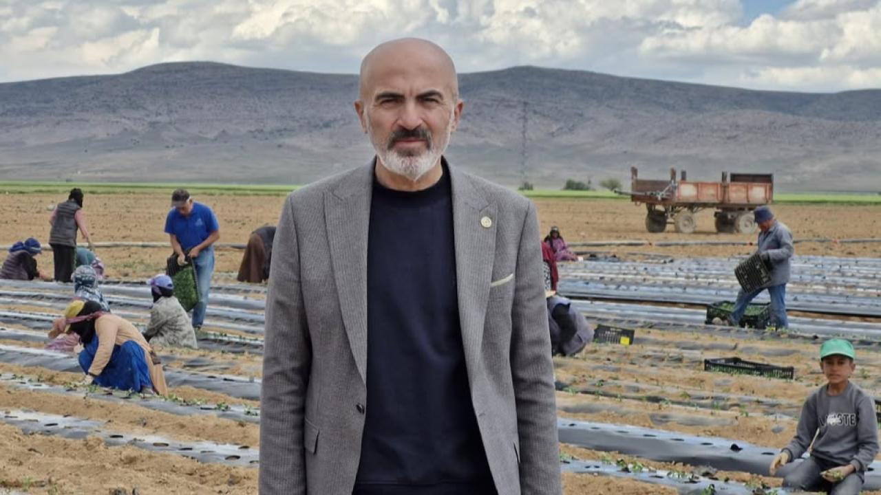 Bayram: Bugünün ve geleceğin üç stratejik alanı gıda, enerji ve su