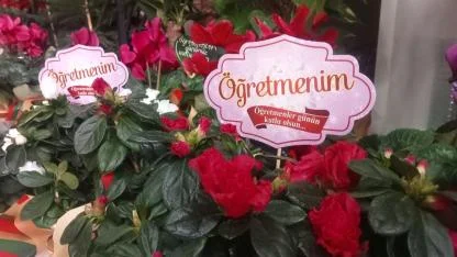 Çiçekçilerde "Öğretmenler Günü" Hareketliliği