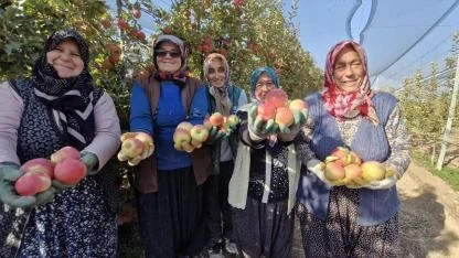 Don felaketi üretici olduğu kadar emekçiyi de vurdu