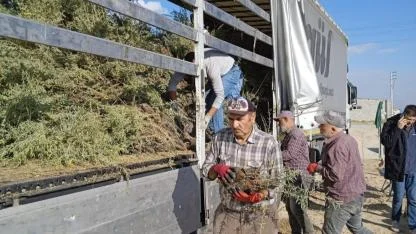 Hamidiye köyünde 1000 dekar mera alanı ıslahına başlandı