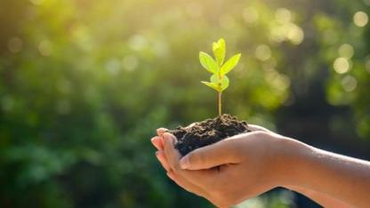 Karaman Kent Konseyi Fidan Dikim Etkinliği Düzenledi