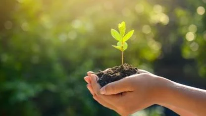 Karaman Kent Konseyi Fidan Dikim Etkinliği Düzenledi