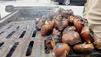 Kestane Sezonu Başladı: Kilosu 350 Lirayı Buluyor