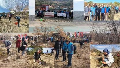 Milli Ağaçlandırma Günü’nde Fidanlar Toprakla Buluştu