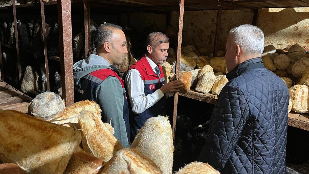 Obruk Peyniri üretim Tesisleri İncelendi