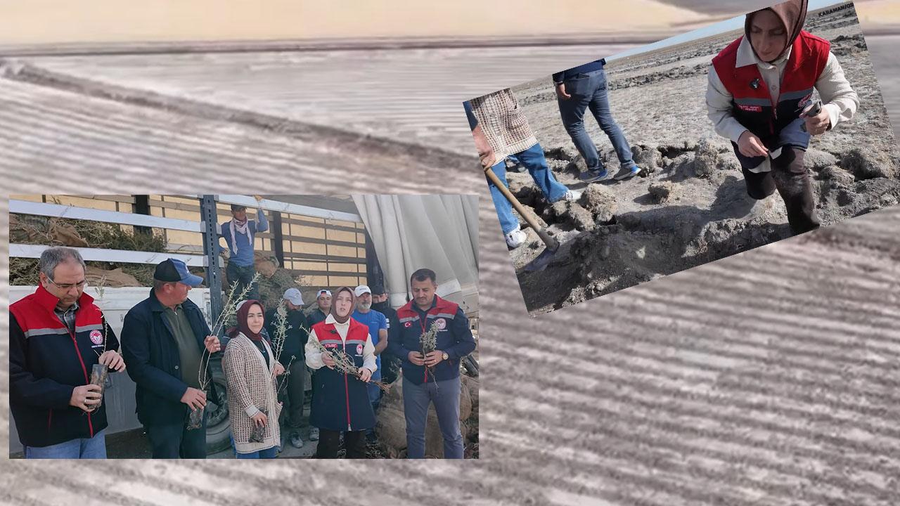 Osmaniye Köyünde 1362 Dekar Mera Alanı Islah Edilmeye Başlandı