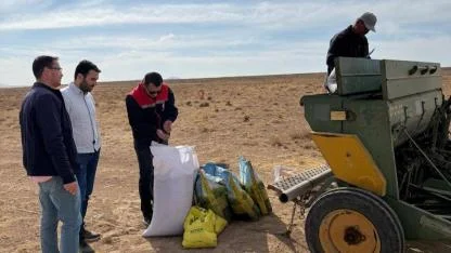 Meralar Eski Haline Dönüyor