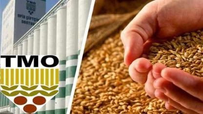 TMO Kasım Ayı Arpa Satışına Başladı