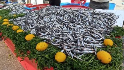 Karaman'da Hamsi Tezgâhlarda 100 Liradan Alıcı Buluyor