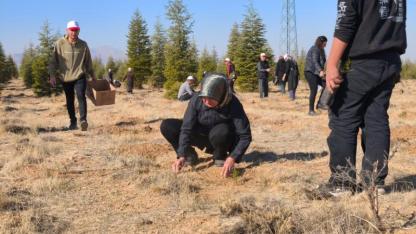 Semiha Özdağ Hatıra Ormanında 5 bin Yeni Fidan Toprakla Buluştu