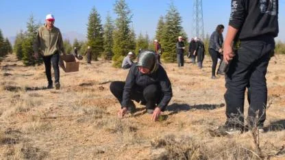 Semiha Özdağ Hatıra Ormanında 5 bin Yeni Fidan Toprakla Buluştu
