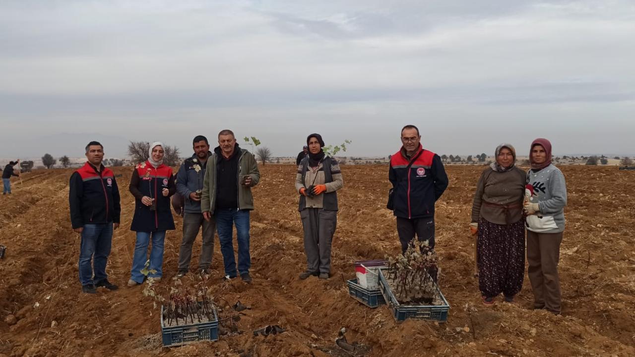 İl Müdürü Hatice Bulut’tan Boyalı Köyünde Üzüm Bağı Ziyareti