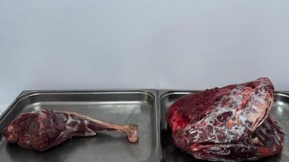 Karaman’da Yaban Keçisi Avlayanlara 954 Bin Lira Ceza Kesildi