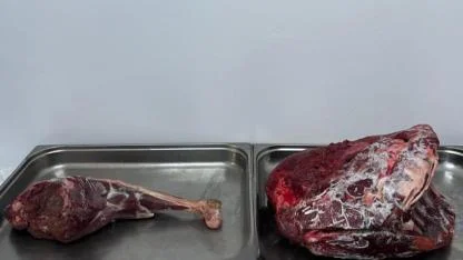 Karaman’da Yaban Keçisi Avlayanlara 954 Bin Lira Ceza Kesildi