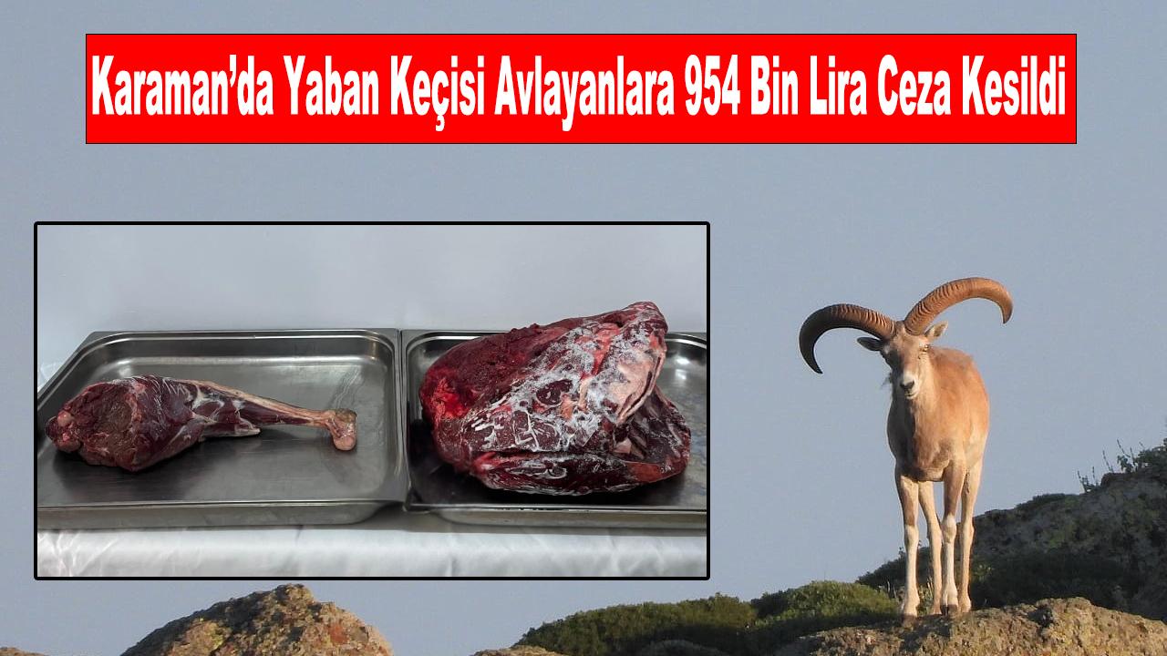 Karaman’da Yaban Keçisi Avlayanlara 954 Bin Lira Ceza Kesildi