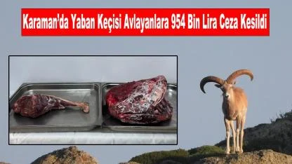 Karaman’da Yaban Keçisi Avlayanlara 954 Bin Lira Ceza Kesildi