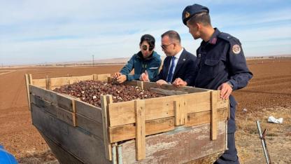 Kazımkarabekir’de Türkiye’nin En Büyük Lale Arazisinde 2026 Sezonu İçin Dikim Başladı